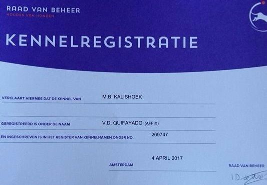 Alle de hondjes die bij ons worden geboren krijgen de 